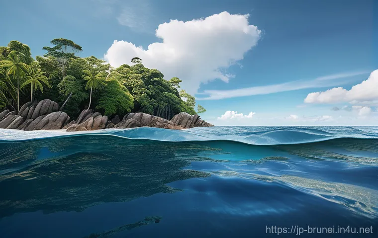 브루나이 기상 이슈 - 25 degrees Celsius per decade. Moreover, sea levels in Brunei have risen by approximately 5-